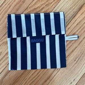 BIG Baggu POUCH ONLY blue and white stripe
